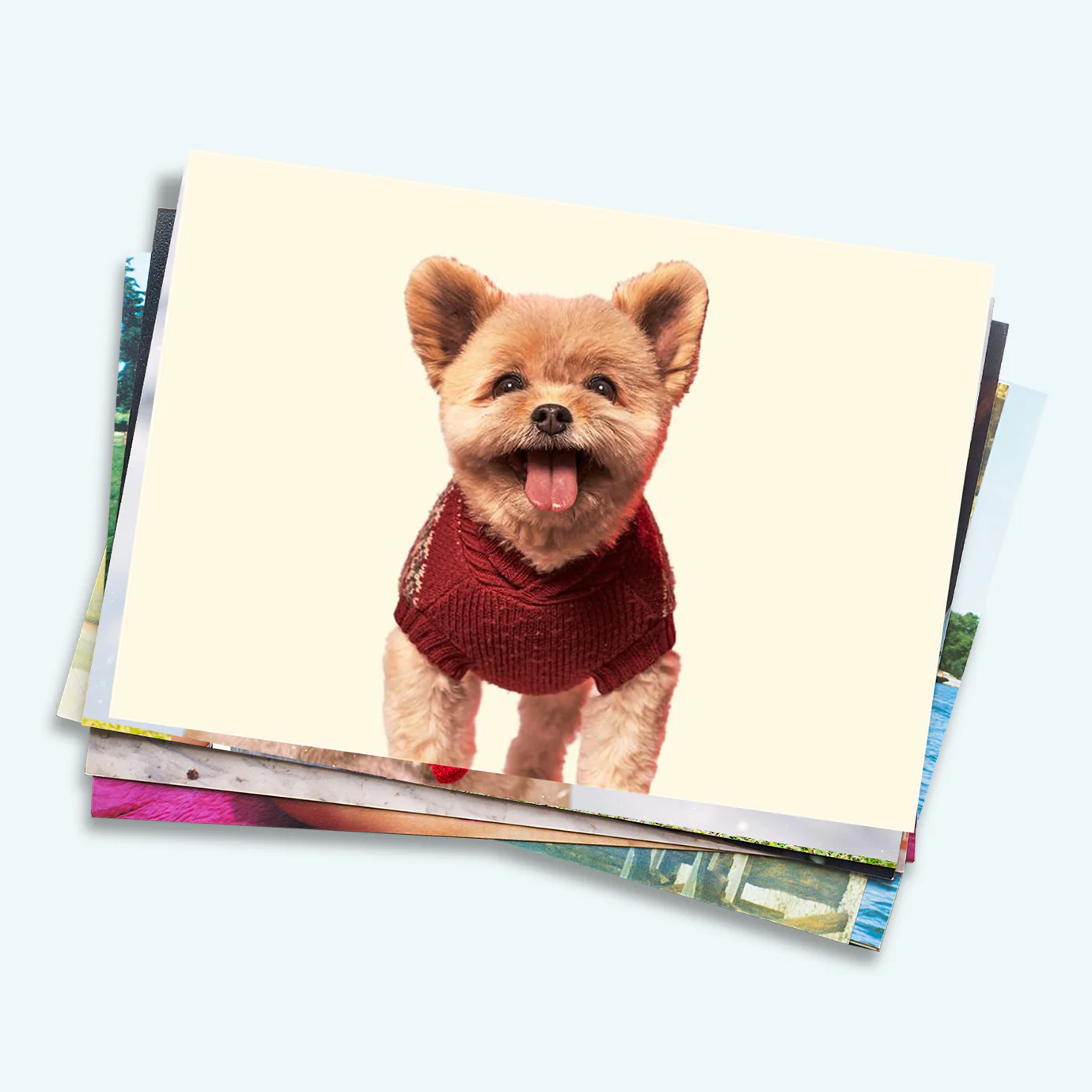 Thumbnail 1